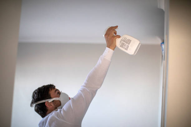 Best Emergency Mold Removal  in Westchester, IL