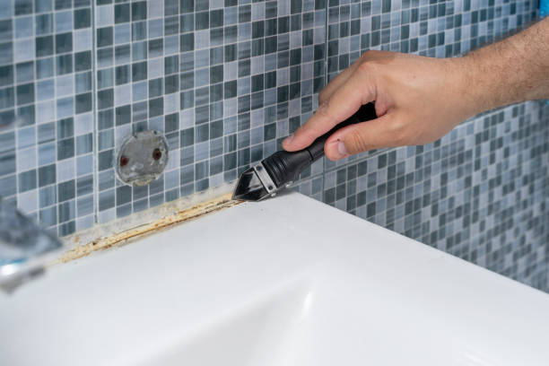 Best Mold Removal Company Near Me  in Westchester, IL